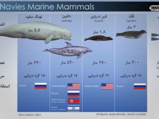 آبزیان هوشمند در خدمت نیروی دریایی کشورهای متفاوت