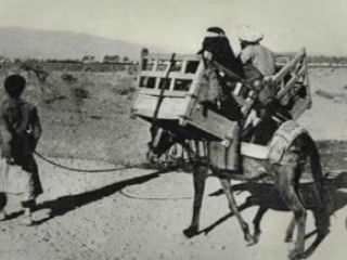 عکس های قدیمی کمتر دیده شده از ایران در  ۱۰۰ سال پیش