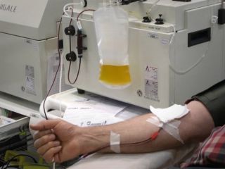 پلاسما فروشی در تهران: با پولش حداقل چند سیخ کباب که می‌توانیم بخریم و به خانه ببریم