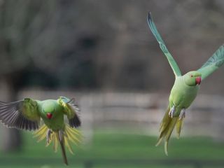 فال روز شنبه ۱۹ فوریه - ۳۰ بهمن