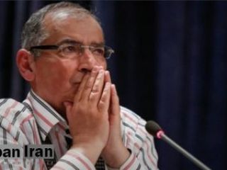 زیباکلام: ایران نذر کرده روسیه به اوکراین حمله کند