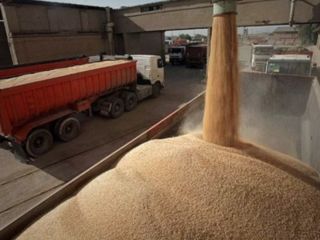 گمرک ایران: باید به «دالانی برای تامین نیازهای روسیه» تبدیل شویم