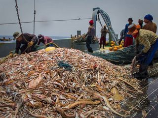 چینی‌ها در دولت رئیسی به آب‌های جنوب ایران بازگشتند