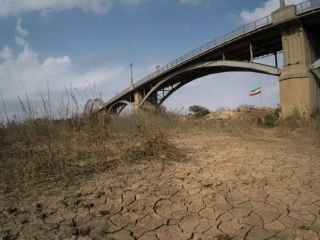 رئیس کمیسیون کشاورزی: ایران توان تولید مواد غذایی برای «بیش از ۳۰۰ میلیون نفر» دارد