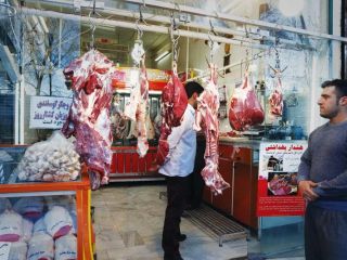 قصد دولت برای پرداخت «یارانه گوشت»