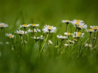 فال روز شنبه ۱۶ اپریل - ۲۷ فروردین