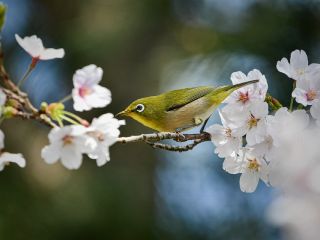 فال روز دوشنبه ۱۸ اپریل - ۲۹ فروردین