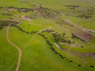 شرح کل ماجرای میانکاله و حواشی آن