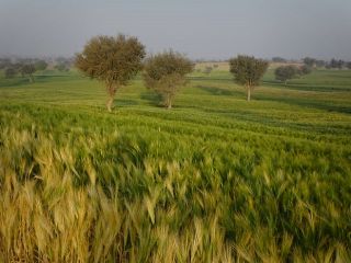 فال روز جمعه ۱۳ می - ۲۳ اردیبهشت