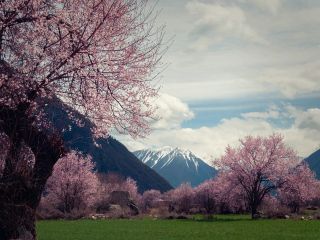 فال روز یکشنبه ۲۲ می - ۱ خرداد