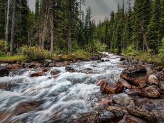 فال روز چهارشنبه ۲۲ جون - ۱ تیر