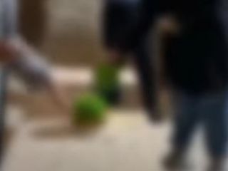 «این تمام عمرش برای زبان فارسی جنگیده حالا تو عربی فاتحه میخونی؟»