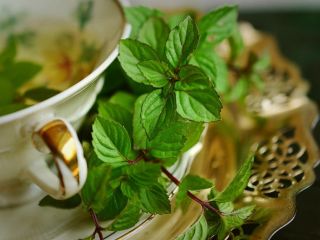 فواید نوشیدن دمنوش نعناع