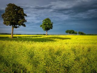 فال روز جمعه ۲۲ جولای - ۳۱ تیر