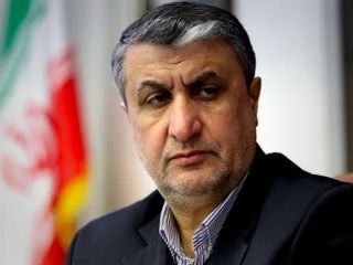 رئیس سازمان انرژی اتمی ایران: ۲۰ هزار نیروی متخصص هسته‌ای تربیت می‌کنیم