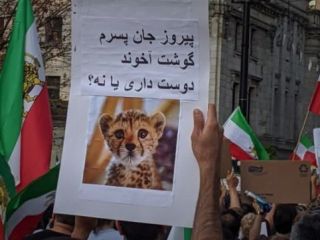 عکس روز: دیده شده در ونکوور کانادا برای «پیروز» یوزپلنگ ایرانی