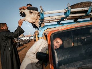 عکس هایی دیدنی از فینالیست‌های مسابقه عکاسی جهانی