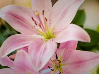 فال روز شنبه ۱۲ نوامبر - ۲۱ آبان