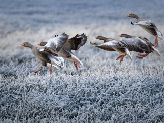 فال روز سه شنبه ۱۳ دسامبر - ۲۲ آذر