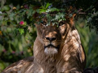 فال روز سه شنبه ۷ فوریه - ۱۸ بهمن