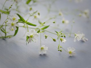 فال روز شنبه ۲۵ فوریه - ۶ اسفند