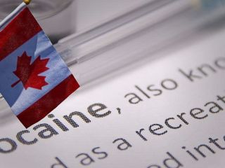 چندین شرکت‌ کانادایی مجوز تولید و فروش کوکائین را دریافت کردند