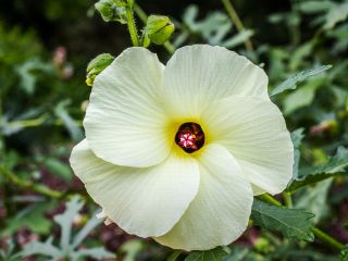 فال روز چهارشنبه ۵ اپریل - ۱۶ فروردین