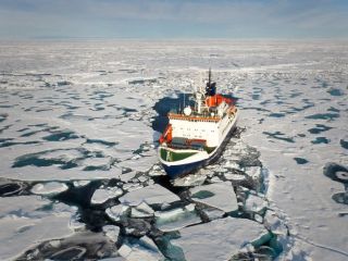 یک پژوهش جدید: یخ‌های شمالگان در اواسط دهه آینده ممکن است کاملا ناپدید شوند