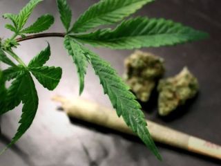 چگونه مصرف بی‌رویه حشیش به عوارض جراحی و بعضا مرگ می‌انجامد؟