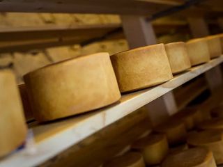 پیرمرد نگون‌بخت ایتالیایی زیر هزاران قالب پنیر جان باخت