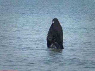 جایزه فرماندار فریدون کنار به خانواده زنی که با چادر و حجاب کامل داخل دریا بود