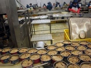 بهای کنسرو ماهی به بالای صد هزار تومان رسید؛ ‌تعطیلی «بسیاری از کارخانه‌ها»