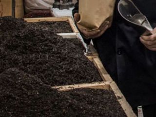 یک مقام صنفی از چای «سرطان‌زا» و احتمال ورود آن به چرخه مصرف داخلی خبر داد