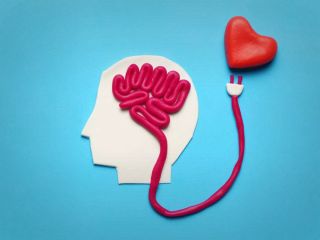 پاسخ دانشمندان به یک پرسش قدیمی: عشق چگونه عقل را زایل می‌کند؟
