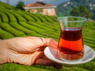 نوشیدن روزانه چای عمر را طولانی می‌کند