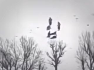 «غلتیدن روی برف در سرما»؛ تنبیه پادگانی کولبران توسط مأموران انتظامی!