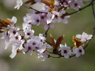 فال روز سه شنبه ۲۶ مارچ - ۷ فروردین