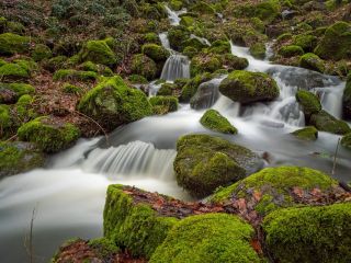 فال روز چهارشنبه ۲۷ مارچ - ۸ فروردین