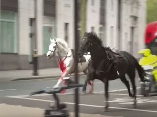 صحنه‌ای شوک‌آور ؛دویدن جنون‌وار اسب‌های خونین گارد سواره‌نظام سلطنتی در خیابان‌های لندن