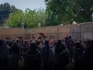 کتک زدن دانش آموزی بخاطر حجاب در مدرسه‌ای در کرج به شورش دانش آموزان منتهی شد