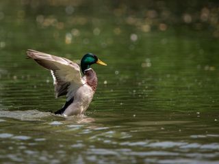 فال روز شنبه ۲۵ می - ۵ خرداد