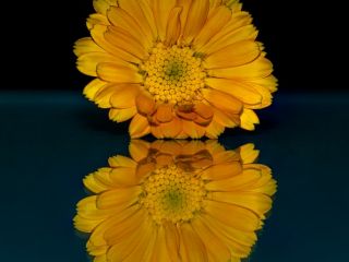 فال روز جمعه ۷ جون - ۱۸ خرداد