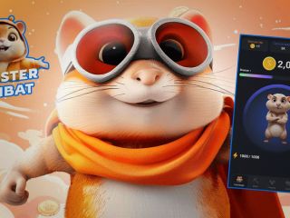 رویای یک‌شبه ثروتمند شدن؛ ایرانی‌ها به امید پول‌دار شدن «همستر کامبت» بازی می‌کنند