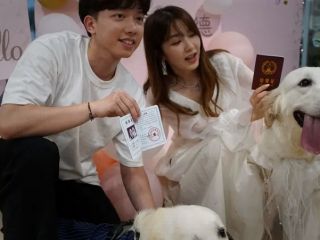 افزایش «ازدواج سگ‌ها» در چین