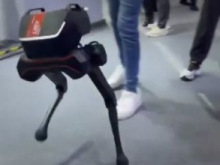 ویدیوی جالبی از توانایی حفظ تعادل یک سگ رباتیک