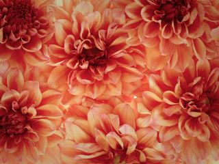 فال روز دوشنبه ۸ جولای - ۱۸ تیر