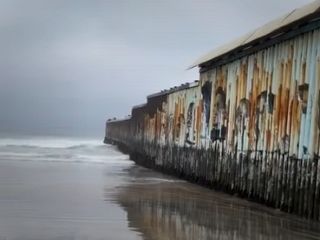 پرنده هایی که خاک آمریکا را به خاک مکزیک در مرز ترجیح میدهند