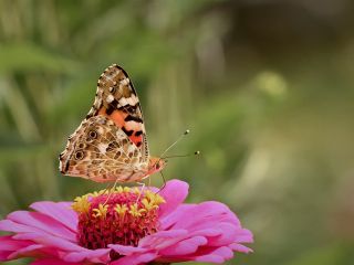 فال روز یکشنبه ۲۵ می - ۴ خرداد