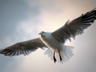 فال روز جمعه ۲۳ می - ۲ خرداد