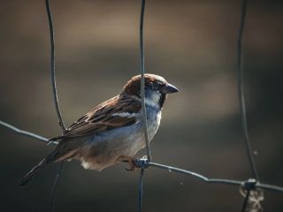 فال روز دوشنبه ۹ دسامبر - ۱۹ آذر